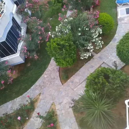 Apartment Druid Grove Residance