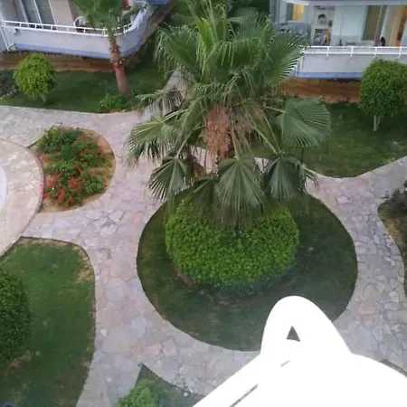 Druid Grove Residance Apartment *
